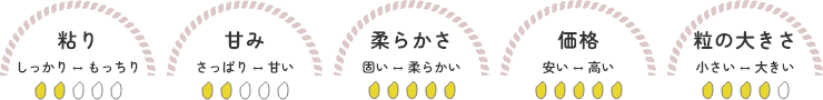 ゆきひかり